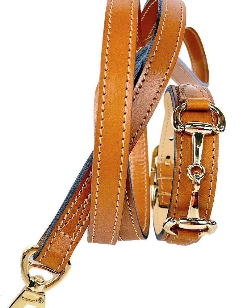 Belmont Dog Leash in Buckskin & Gold