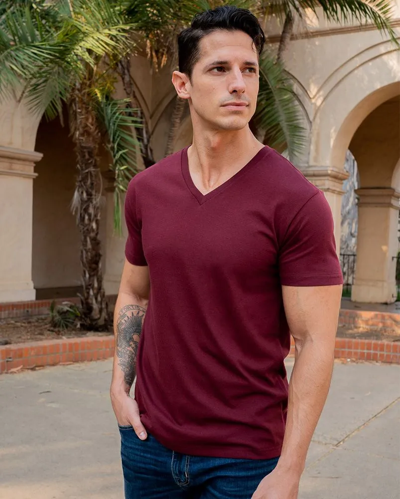 Garnet V-Neck